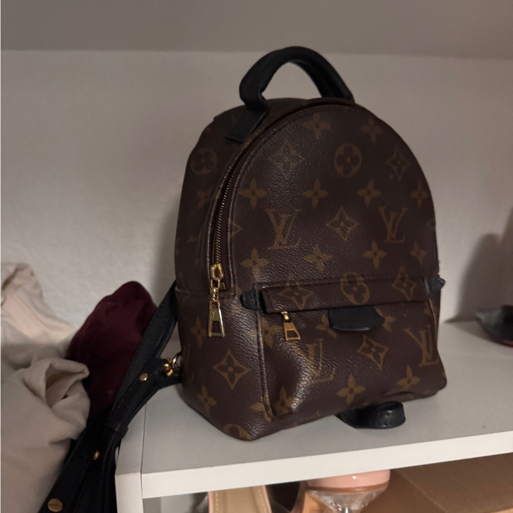 Louis Vuitton Mini Palm Springs Backpack